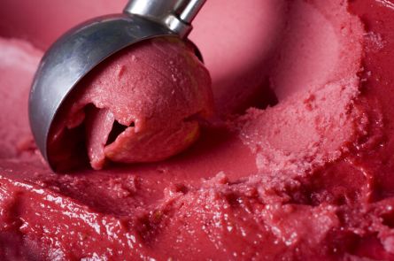 Berry sorbet